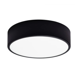 Oprawa MEGA 300, 2xE27, 2x40W, obudowa stalowa-czarna, klosz szklany-mleczny, IP20 MEGA 300 CZARNY