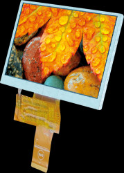 EA TFT050-84ANN TFT display 5.0", 108x65mm, 800x480 dot, 24bit RGB