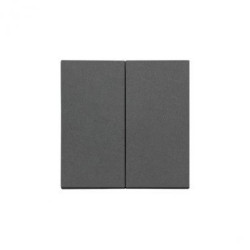 Simon 55 Klawisz podwójny do: SW5M, SP2M Grafitowy mat TKW5/116