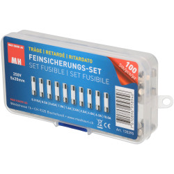 Max Hauri 135395 Micro Fuse Set 5x20mm Time Delay 100 pieces