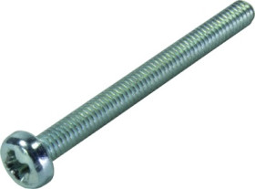 Screw for shell housing, 09060009955
