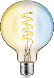 Żarówka LED 29159 Paulmann Home E-27 7.5 W ciepła biel światła dziennego 600 lm