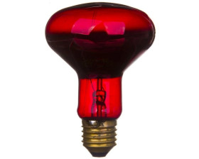 Promiennik podczerwieni E27 75W R80RB do terrarium PRO-1466