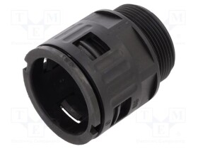 LP-61800915