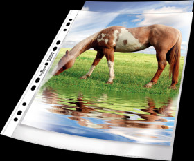 267719 Plastic wallets, A4, crystal clear, premium, 50 pieces