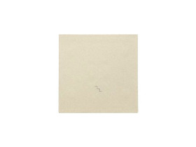 SIMON 55 Klawisz pojedynczy z piktogramem "schody" do: SW6M szampański mat TKW6/144 KONTAKT SIMON