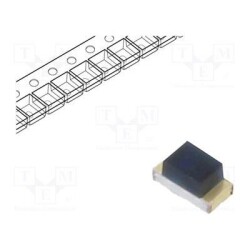 55PT19-21B/L41/TR8