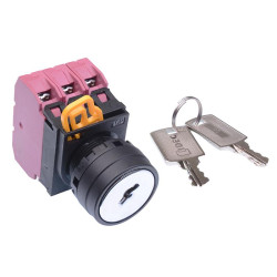 YW1K-2AE03 22mm 2 Position Maintained Key Switch 3NC IP65 IDEC