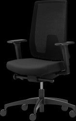 ID 7056_SLP Dauphin Indeed mesh