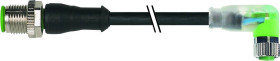 Murrelektronik 7000-40641-6300060 Złącze konfekcjonowane czujnika/aktuatora M12 x 1 złącze męskie proste, złącze żeńskie