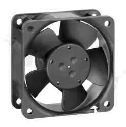 255H