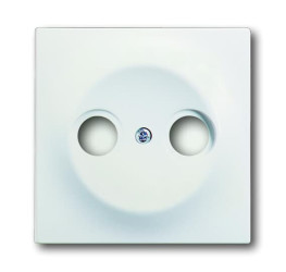 Płytka czołowa, Antena TV, Biały