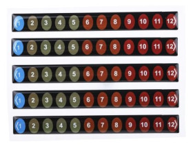 Wskaźnik temperatury — etykieta 12-skalowy