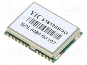 YIC51612EBGG-33