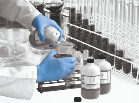 Rękawice jednorazowe, 100 szt., kolor: Niebieski, Polyco Healthline