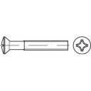 Wkręt z rowkiem TOOLCRAFT TO-5432217 M5 25 mm 200 szt.