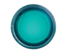 Napęd przycisku zielony z podświetleniem z samopowrotem ZB4BW33