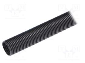 LP-61746985