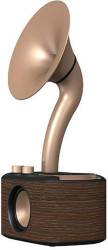 Radio Sangean WR-45X Gold fale metrowe (VHF) wielokrotne ładowanie czarny, złoty