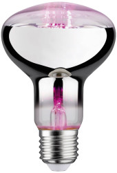 Lampa LED do roślin wspomagająca wzrost Paulmann 28733 230 V E-27 6.5 W 1 szt.