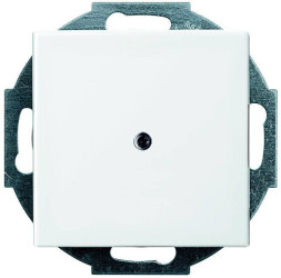 Busch-Jaeger Zaślepka Osłona Busch-balance SI śnieżnobiały 2527-914 1 szt.