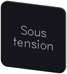 Tabliczka opisowa Siemens 3SU1900-0AF16-0GS0 (S x W) 22 mm x 22 mm Sous tension 10 szt.