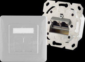 BS74280-PW Cat.6A network socket 2 port designable