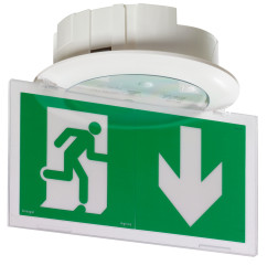 Oświetlenie awaryjne Legrand 0,6 W czas działania 1h szerokość 187 mm (średnica) Schowany IP40