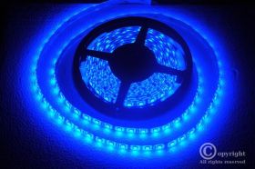 TAŚMA LED 5050 300LED/5m 12V NIEBIESKI WODOODPORNA