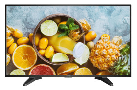 DS-D5043QE - monitor 42.5"