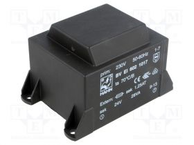 BVEI6021017