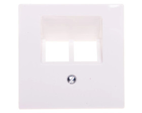 Płytka centralna mechanizmu gniazda RJ45, podwójna, biały polarny Merten, System M MTN296119