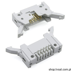 71922-11 Connector 2 x 5 Pin Latch Angle THT FCIBESAN