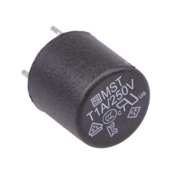 1A Radial Time Delay Subminiature Circular Fuse