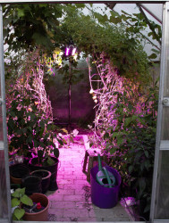 Lampa LED do roślin wspomagająca wzrost Venso E503 300 65 cm 230 V LED wbudowany na stałe 60 W 1 szt.