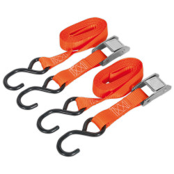 Sealey TD2525CS Cam Buckle Tie Down 25mm x 2.5m Poly Webbing - S Hooks 250kg