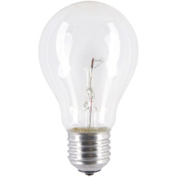 Żarówka 24V 60W E27 przeźr. SOLEO