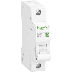Schneider Electric R9F23120 Circuit Breaker 1-phase 20A 230V