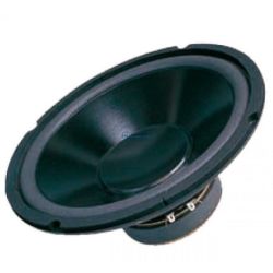 Głośnik 10cali (25cm) 4ohm DBS-G1001