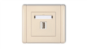 Flexi Gniazdo Pojedyncze Usb-Aa 3.0 Beżowy 1Fgusb-5