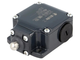 FL501 Wyłącznik krańcowy trzpień Ø10mm NO + NC 10A max.500VAC IP67