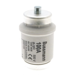 Wkładka bezpiecznikowa DIV 100A gL/gG 500V 100D125