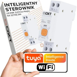 Inteligentny Sterownik OXT 63A Licznik WiFi Tuya T335