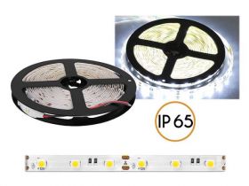 TASMA LED 5050IP65 300LED Z.BI.