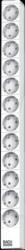 333.413 Power strip, 12 x Type F - CEE 7/3, light grey