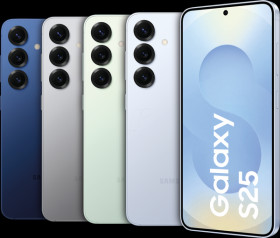 SM-S931BZSGEUB Samsung Galaxy S25 256GB Silver Shadow