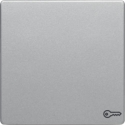 Q.1/Q.3 Klawisz z nadrukiem symbolu klucz do łącznika 1-klawiszowego alu aksamit lakierowany 16206064