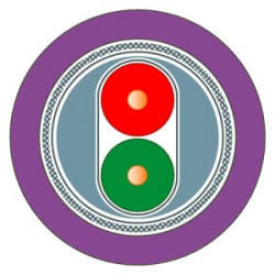 Kabel PROFIBUS 1x2x0,64 PVC fioletowy SIMATIC NET 6XV1830-0EH10 /bębnowy/