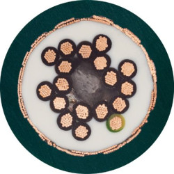 Control Cable liczba żył 7 0,5 mm² Ekranowany Igus 8 A średnica zew 10mm Zielony