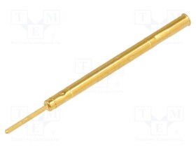 S30.00-W